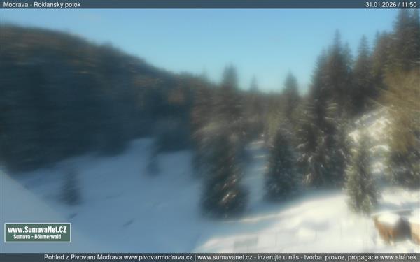 31.01.2026 - 12:00 31.01.2026 - 12:00