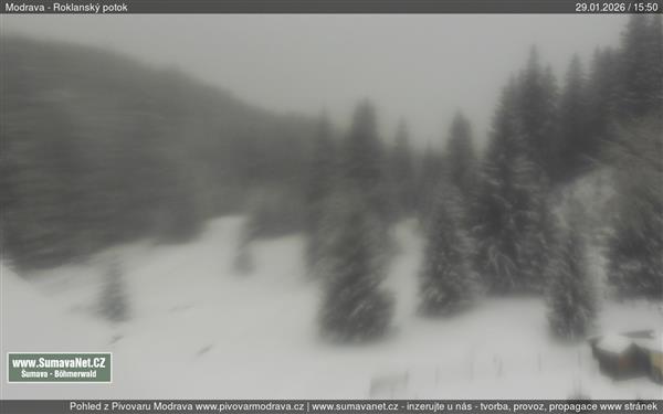 29.01.2026 - 16:00 29.01.2026 - 16:00